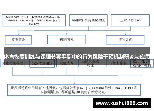 体育恢复训练与课程节奏平衡中的行为风险干预机制研究与应用