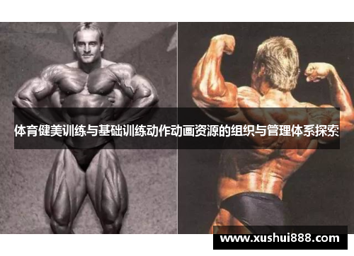 体育健美训练与基础训练动作动画资源的组织与管理体系探索