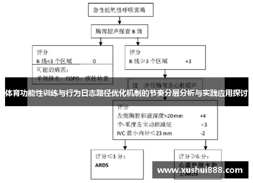 体育功能性训练与行为日志路径优化机制的节奏分层分析与实践应用探讨