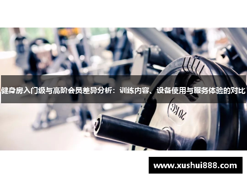 健身房入门级与高阶会员差异分析：训练内容、设备使用与服务体验的对比